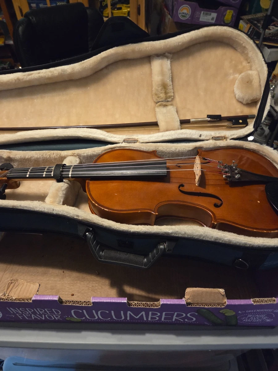 Palatino Acoustic Violins 4/4 Size for sale | eBay