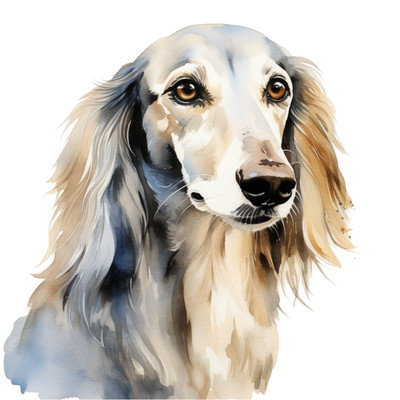 Saluki (3) Poster Leinwand Film Film Druck A0 A1 A2 A3 A4 A5 A6 Kunst Wanddeko