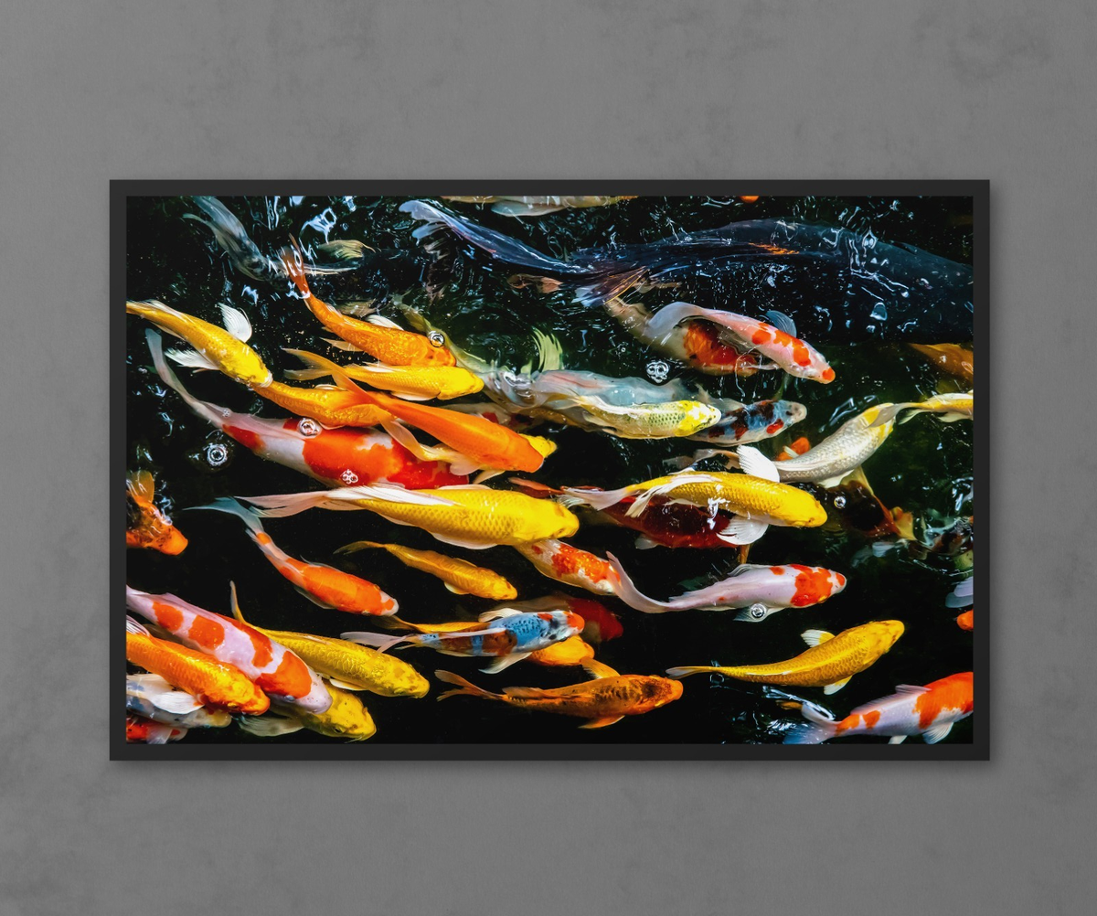 Colorful Koi Fish Pond Wall Art Print – Zen-Inspired Japanese