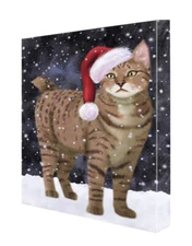 Christmas Let it Snow Pixie Bob Cat Canvas Wall Art Digital Painting