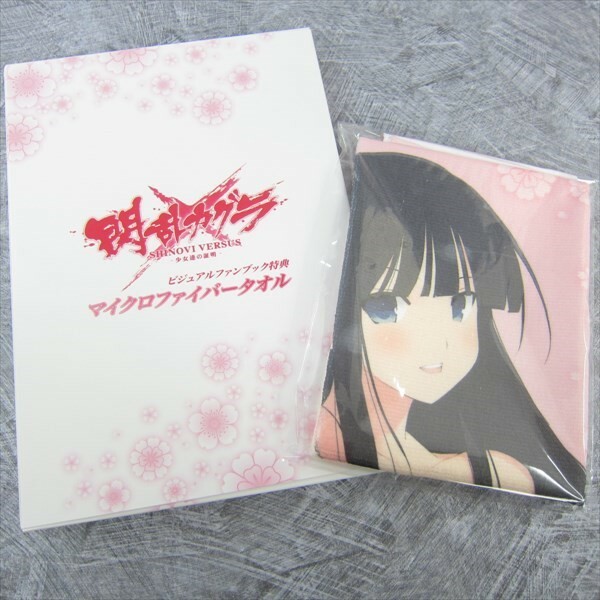 正規品 描き下ろし るび様 OFFICIAL FAN BOOK SENRAN KAGURA Shinovi Versus Visual Fan Book w/Towel Tora no Ana