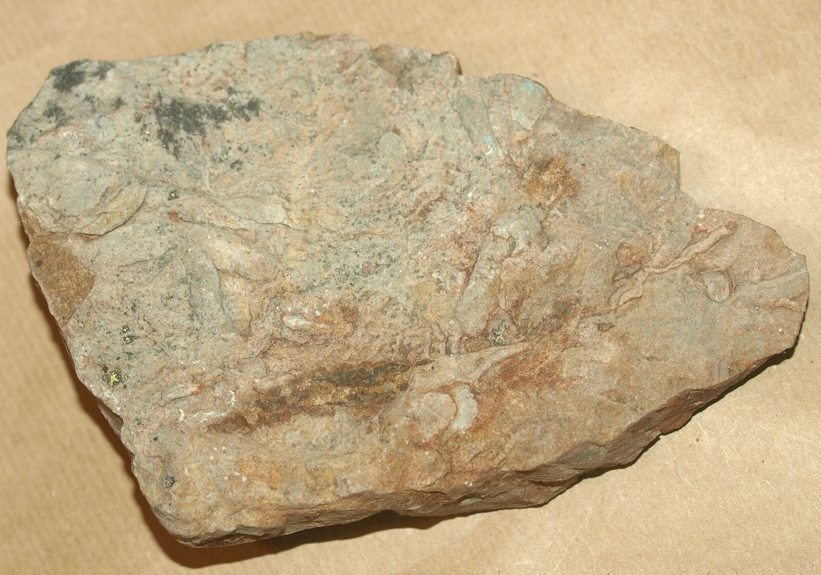 Picture 7 of 11