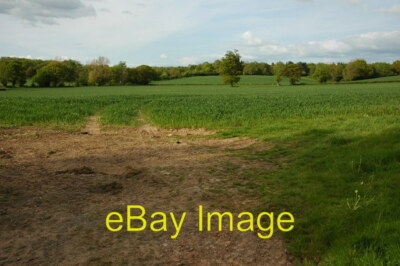 Foto 6x4 Weizenfeld bei Bulley Ein Weizenfeld nördlich von Bulley Chur c2010