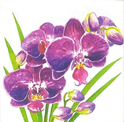 T889# 3 x Single Paper Napkins For Decoupage Purple Orchid Orchidea Flower Twig