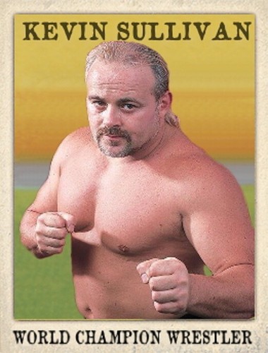 LJACards Weltmeister Wrestler Serie 3 Sammelkarten ACEO (2. Druck) - Bild 21 von 24