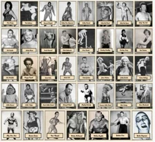 2021 LJACards "Legends of the Ring 3" History of Wrestling Trading Cards ACEO