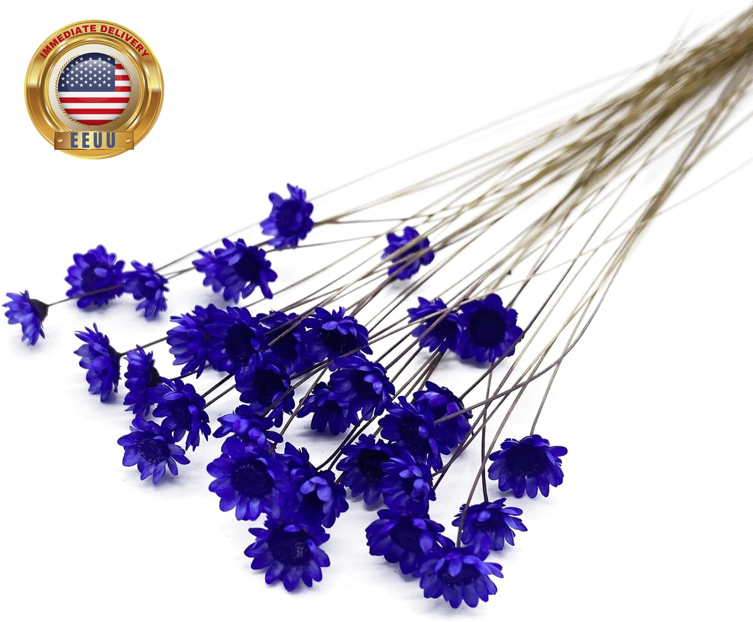 100 Stems Natural Dry Flowers Brazilian Small Star Daisy Decorative Dried Flower