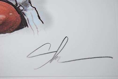 Rare & Limited Arian Foster Houston Texans Art Print 12x18 s/n by artist - Picture 4 of 4