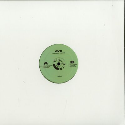 CYD / DISASSEMBLE YOURSELF / E-Missions / EMS006 / 12 Inch