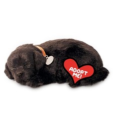 Perfect Petzzz Original Petzzz Black Lab Realistic, Lifelike Stuffed Interactive