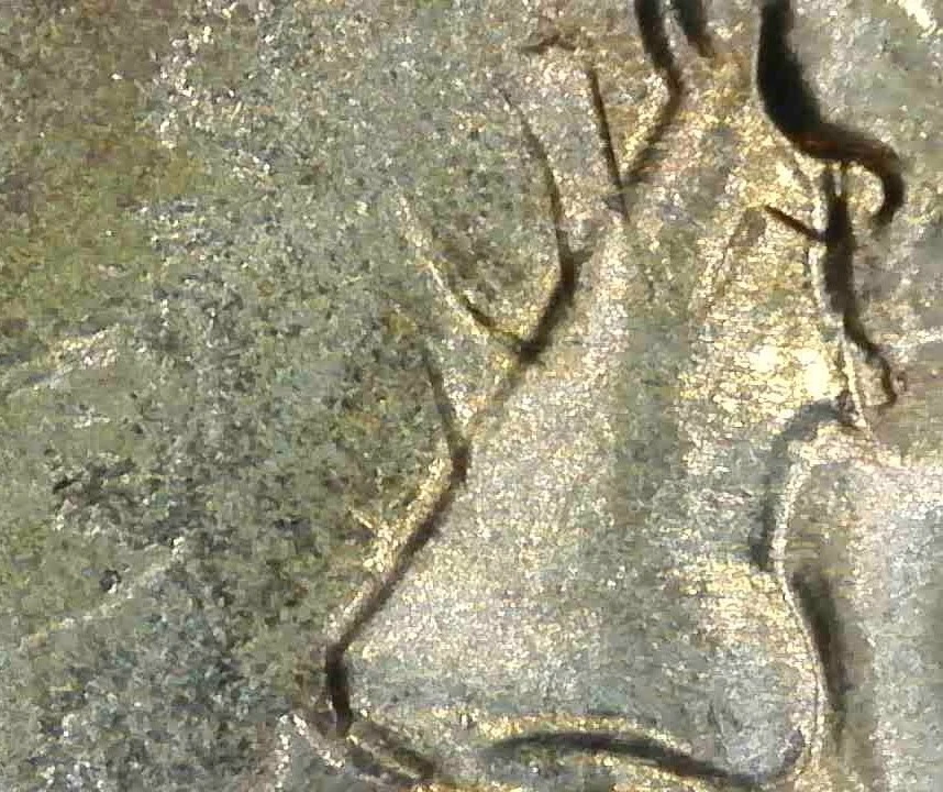 1983 P KENNEDY HALF DOLLAR VERY STRONG HEAVY CLASH DIES OBV & REV BU GEM F1041 - Image 4 of 4