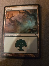 Magic The Gathering A basic Called Forest