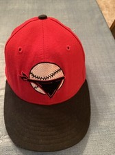Vintage Minor League Fitted Baseball Hat-Quad City River Bandits