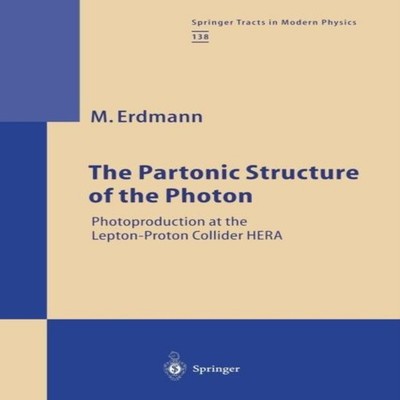 The Partonic Structure of the Photon Photoproduction at the Lepto
