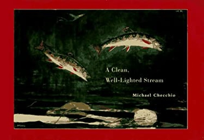 #ad #ad A Clean Well Lighted Stream Hardcover Michael Checchio $6.41