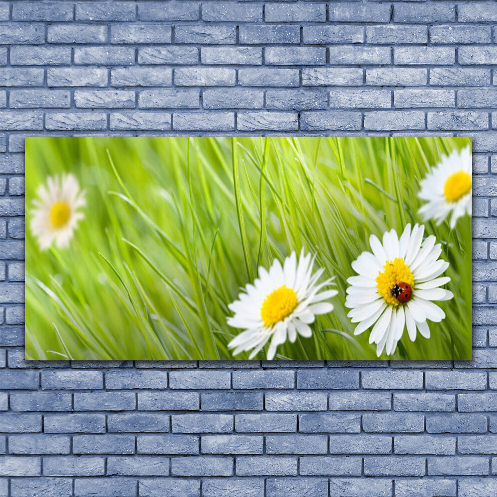 Tableau plexiglas nature marguerite 140x70 cm pour grand salon