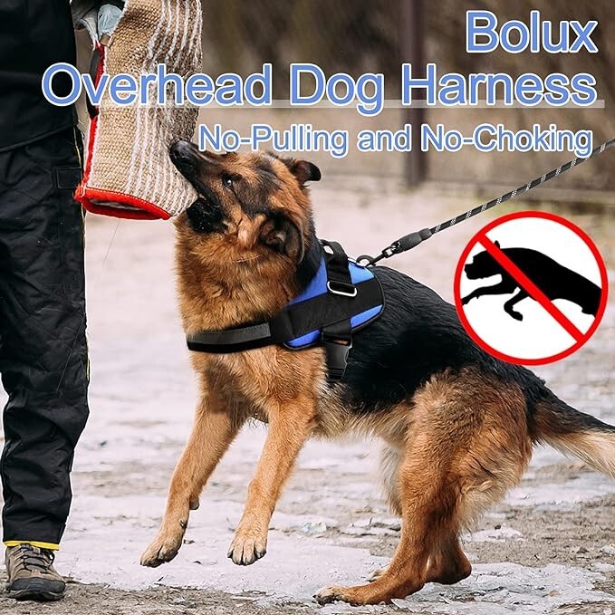 Bolux over the head dog harness, reflective easy on with nylon handle, Small eBay