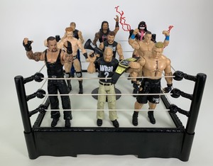 wwe accessories ebay