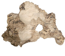 Spalted Maple Burl Slab