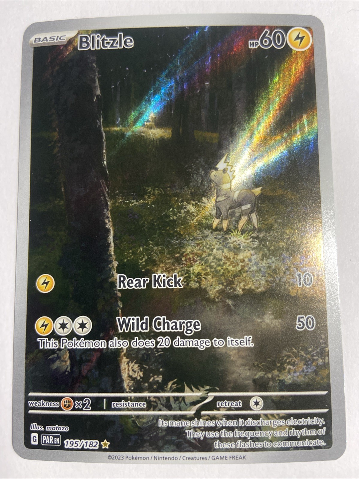 Blitzle 195/182 Paradox Rift IR Illustration Rare Holo Pokemon Card NM Condition