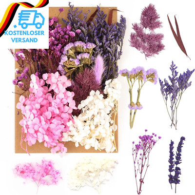 SOSPIRO Natürliche Getrocknete Blumen,Trockenblumen Zum Basteln,Blumen Natürlich