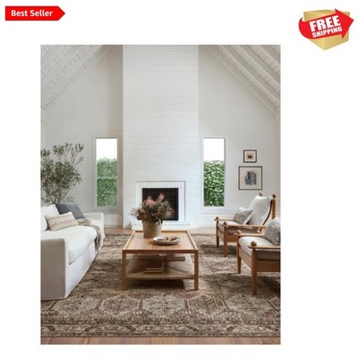 Amber Lewis Billie Collection Clay & Sage Area Rug 5'0'' x 7'6'' Vintage Style