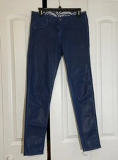 BLUELAB Reversible Detour pants Blue Zebra Pattern / Blue Coating Size 29