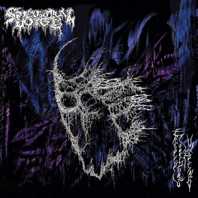 Spectral Voice Eroded Corridors of Unbeing (Vinyl) (US IMPORT)
