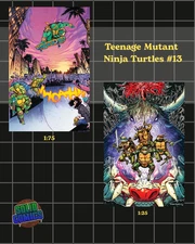 Teenage Mutant Ninja Turtles #13 1:25 AND 1:75 Lot