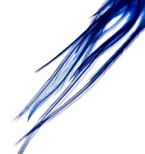 CHINESE SADDLE HACKLE FEATHERS - Dark Blue - 6-11" - 12 pc.  Fly Tying Materials