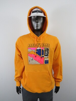 The North Face Places We Love Baggin Peaks Logo Hoodie Pullover Sweatshirt Gold