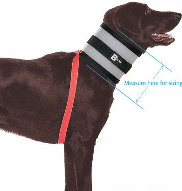 dog harness to help with pulling
