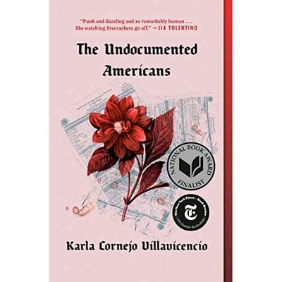 Die undokumentierten Amerikaner - Taschenbuch NEU Villavicencio, 06.04.2021