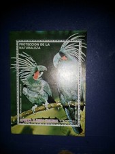 equatorial Guinea minisheet black cockatoo