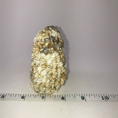 De colección: Mini estatuilla de búho hecha de pequeñas conchas marinas. 3 pulgadas de alto. Blanco y marrón. - Imagen 4 de 8