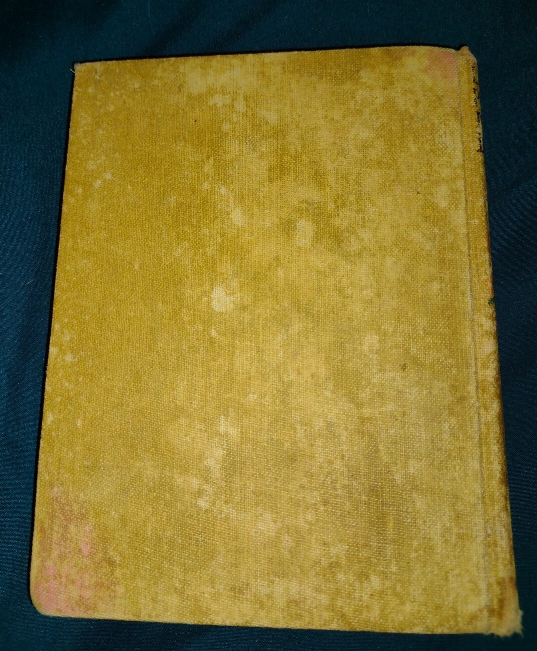Picture 2 of 11
