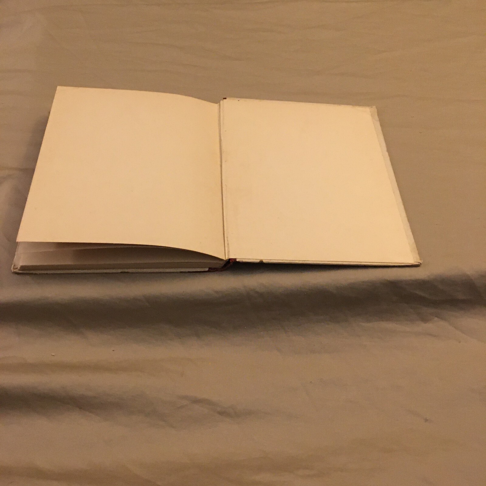 Picture 22 of 24