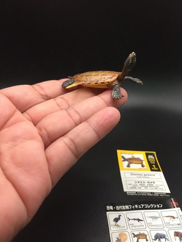 Kaiyodo UHA Dinotales Sinemys gamera Turtle Dinosaur mini Figure japan import - 第 6/10 張圖片
