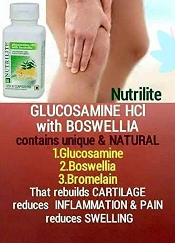Amway Nutrilite Glucosamina HCL con Boswellia 120 Tabs Salud Articular + Envío gratuito Foto 2 de 4