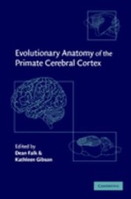 Evolutionary Anatomy of the Primate Cerebral Cortex Hardcover
