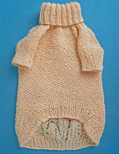 Small Dog knit sweater, Outfit, Pet clothes, Puppy sweater, Yorkshire Clothes XS - Picture 5 of 9