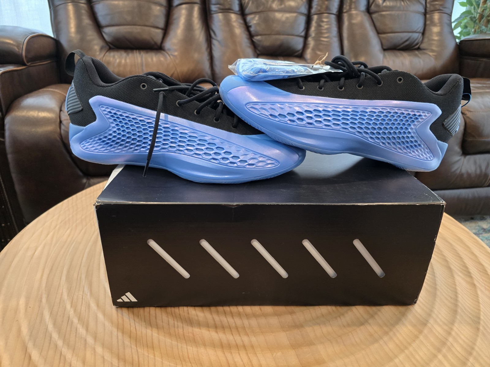 adidas AE 1 Low Nicks Gift, Size 14