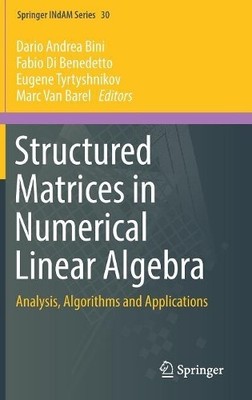 Strukturierte Matrizen in numerischer linearer Algebra - 9783030040871