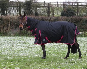 Equitack 600D Heavyweight Turnout Horse Rugs 300G HALF Neck Thermo Winter Green 59 Equitack 600D Heavyweight Turnout Horse Rugs 300G HALF Neck Thermo Winter Green 59