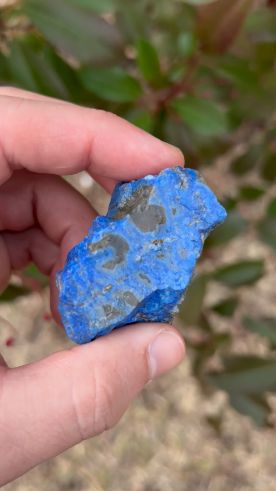 Lapis Lazuli Rough Rocks for Tumbling Bulk Wholesale 1LB options eBay