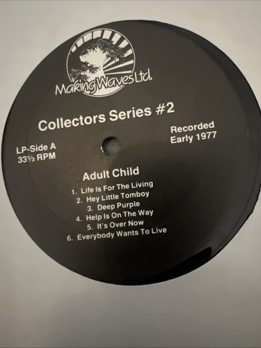 Beach Boys “Adult Child” 1977 Vinyl LP Collector’s Series #2 ALMOST MINT! - Picture 12 of 14