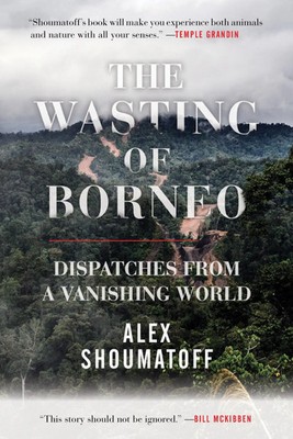 The Wasting of Borneo | Dispatches from a Vanishing World | Alex Shoumatoff