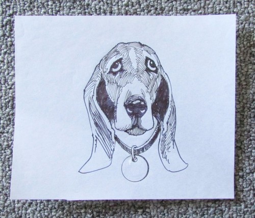 Darrel Millsap Skizze Bassett Hound zugeschrieben