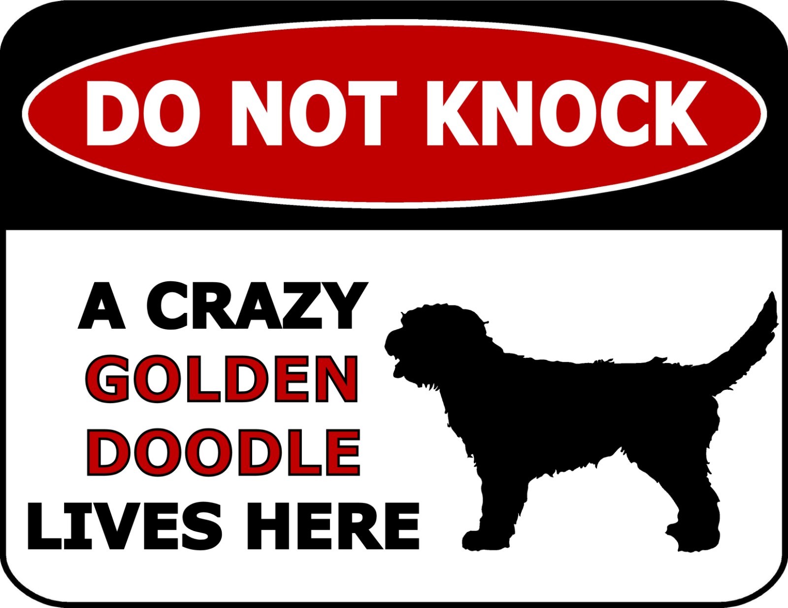 crazy goldendoodle