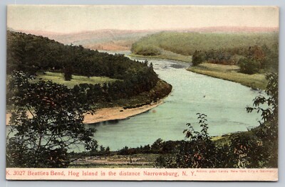 Narrowsburg NY Postcard DB Delaware River Beatties Bend and Hog Island Posted
